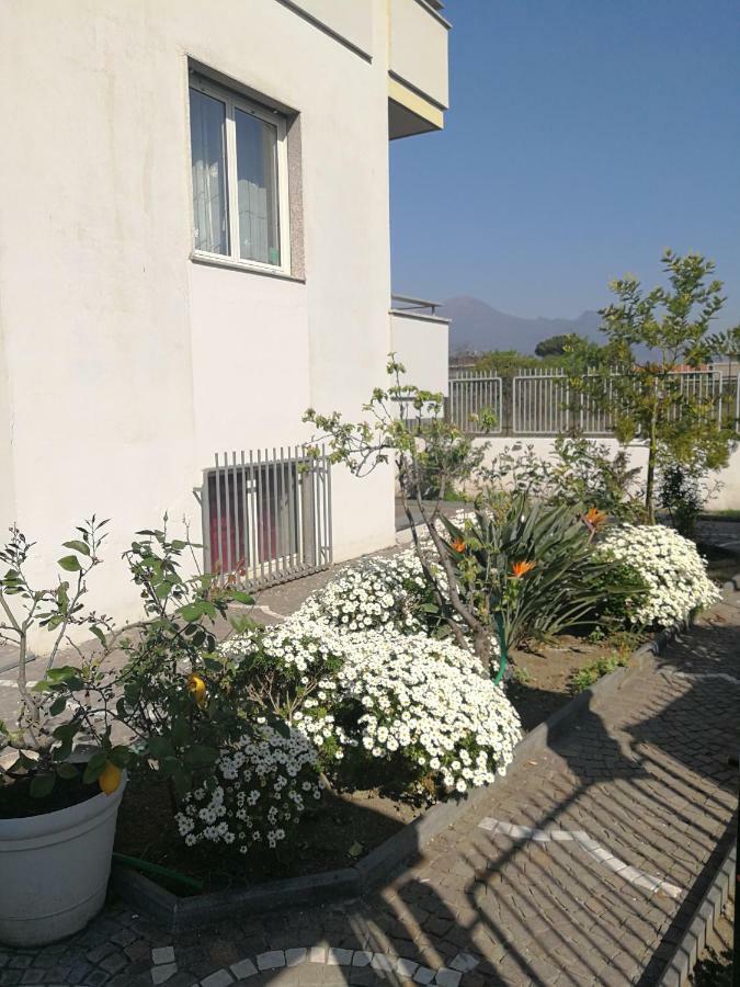 폼페이 Area Domus B&B 외부 사진